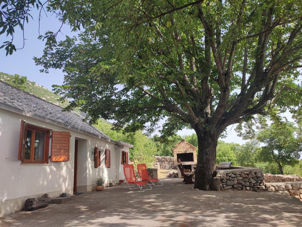 Holiday Home Lucija "" Private House With Pool "" Jablanac Exteriör bild